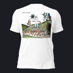 Dragon Lady Unisex t-shirt