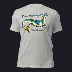 Aquahorse Unisex t-shirt