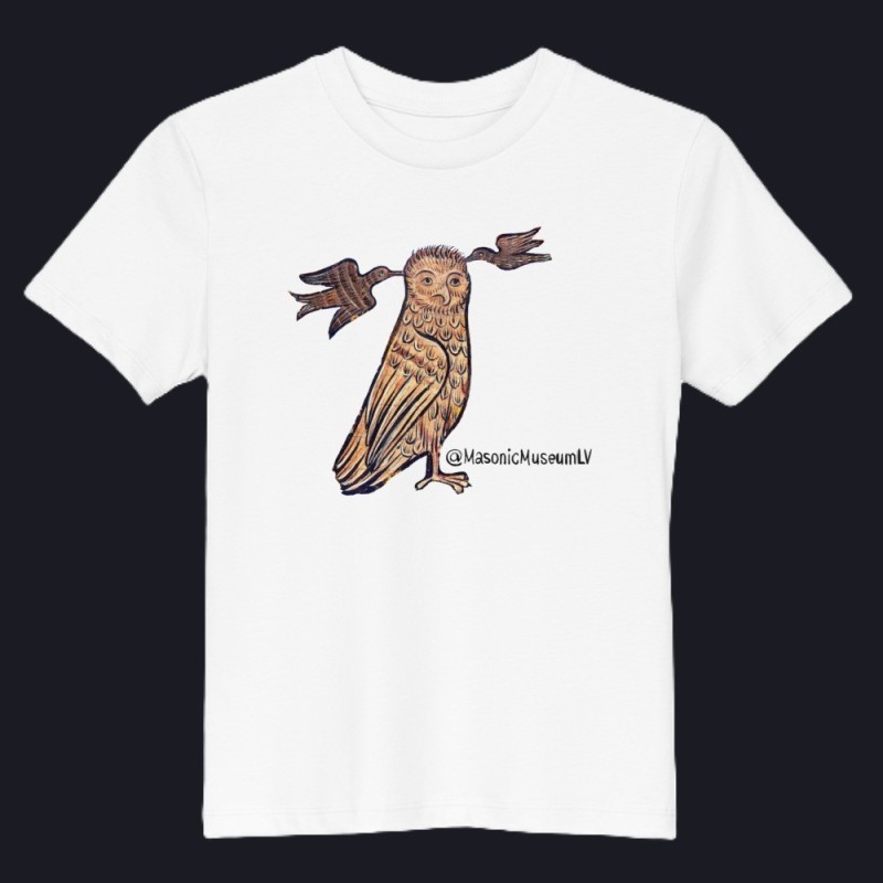 Owl Organic cotton kids t-shirt Owl Organic cotton kids t-shirt