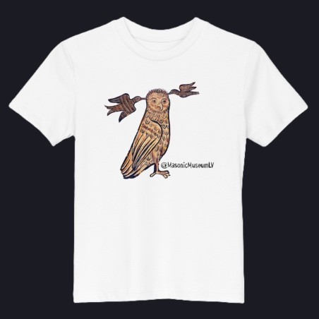 Owl Organic cotton kids t-shirt