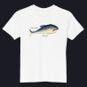 Whale Organic cotton kids t-shirt
