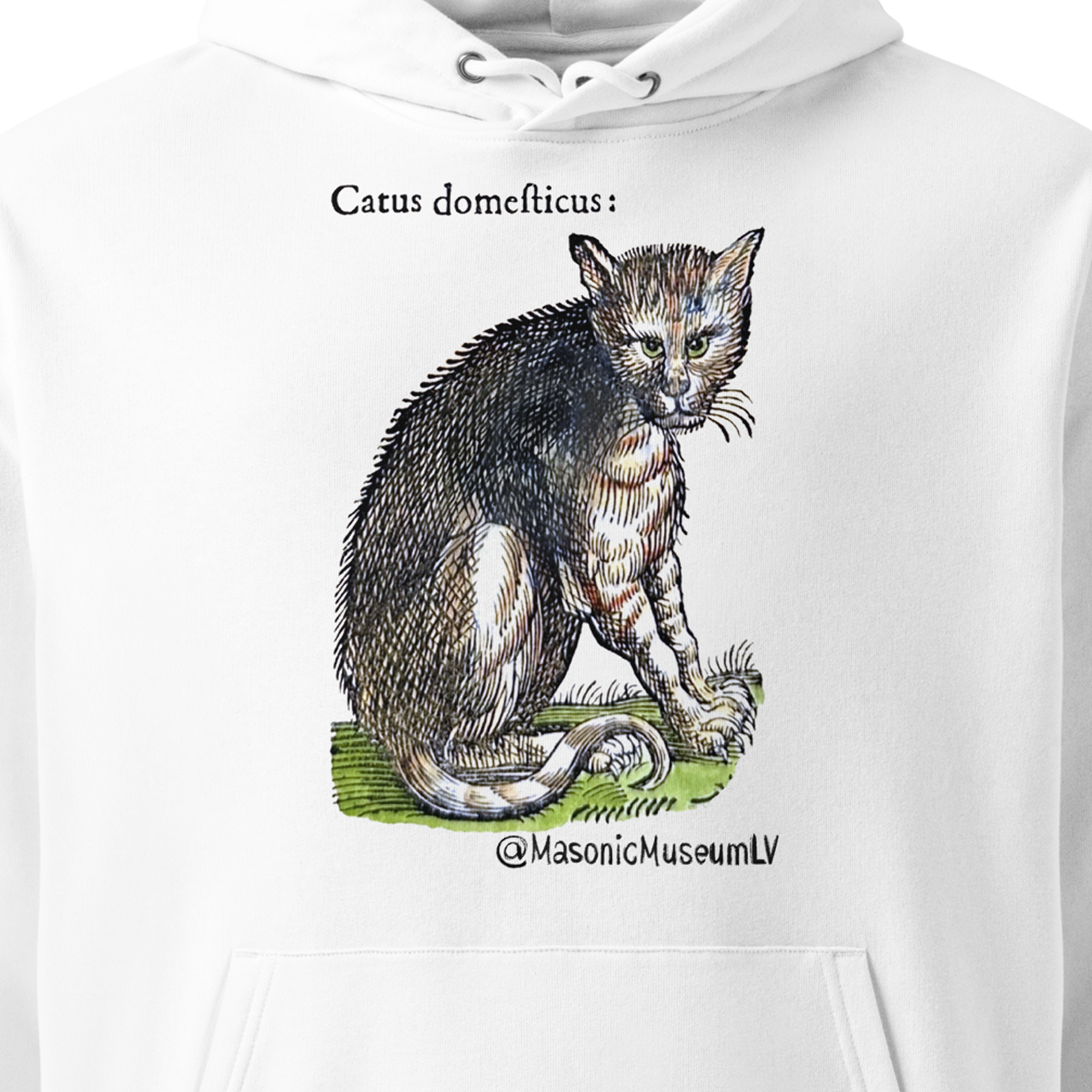 Catus Domesticus hoodie