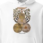 Tree of Knowledge hoodie